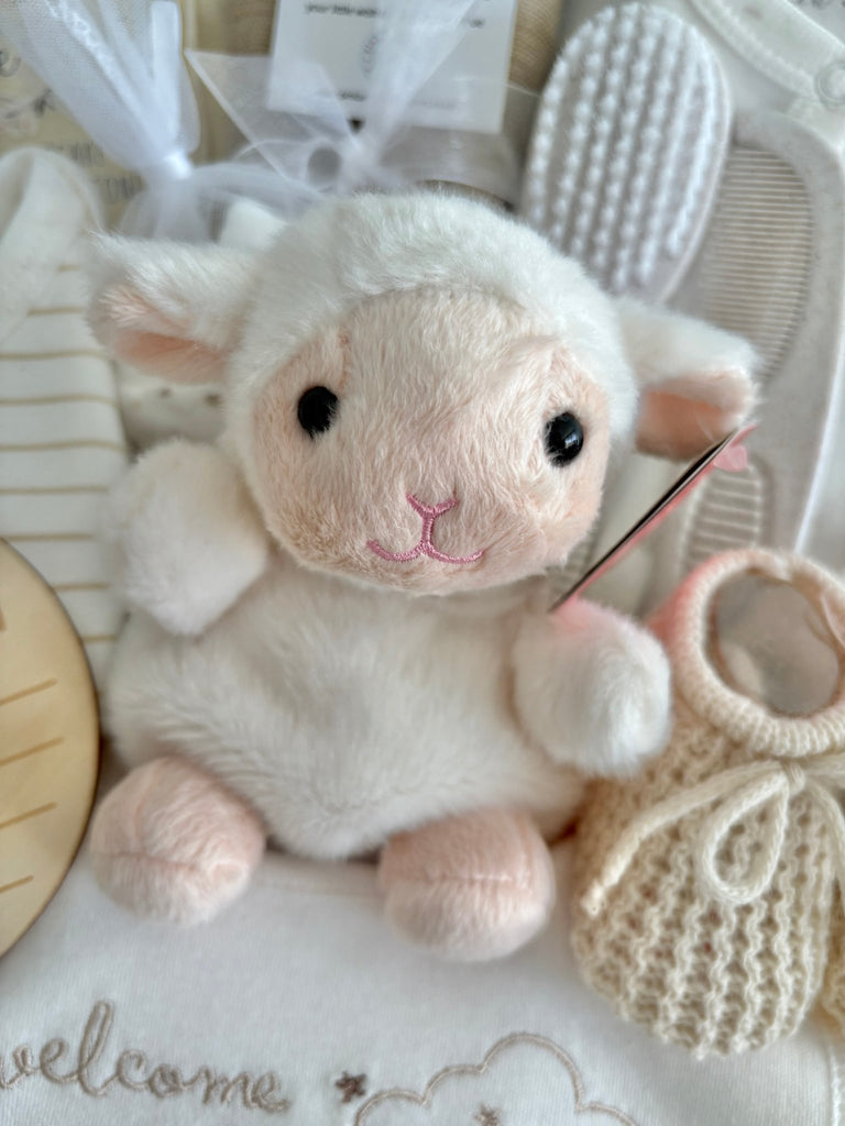 Baby Hamper - Loved Little Lamb - Pink and Blue Hampers