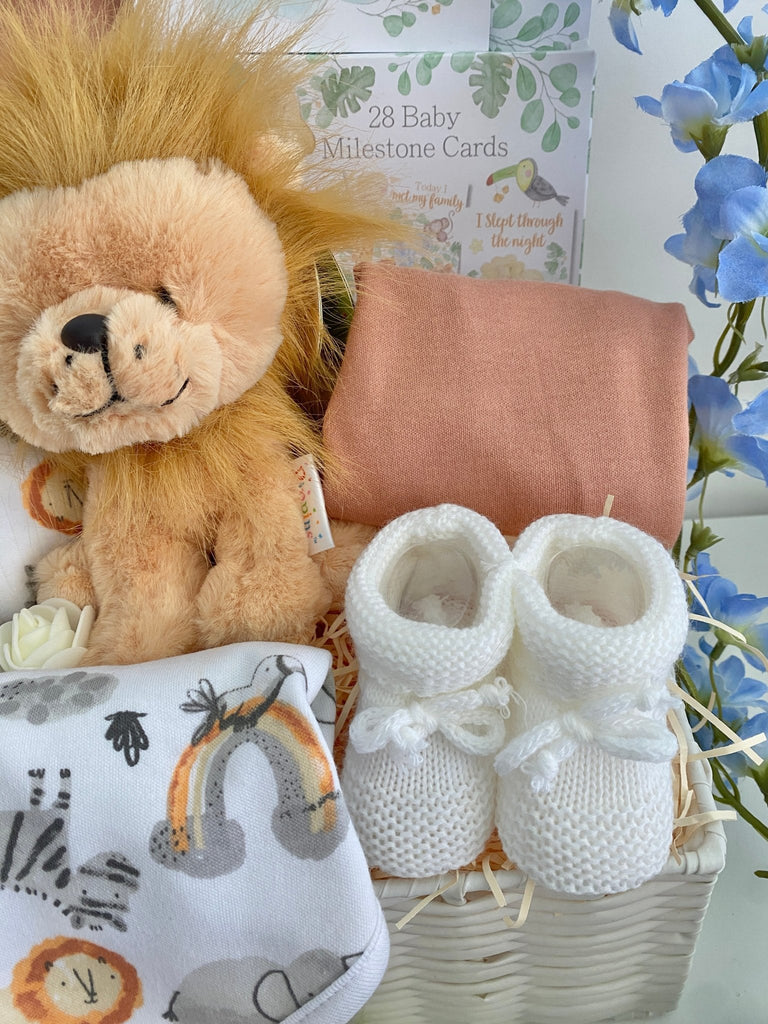 Baby Shower Gift Basket - Sleepy Little Lion - Pink and Blue Hampers