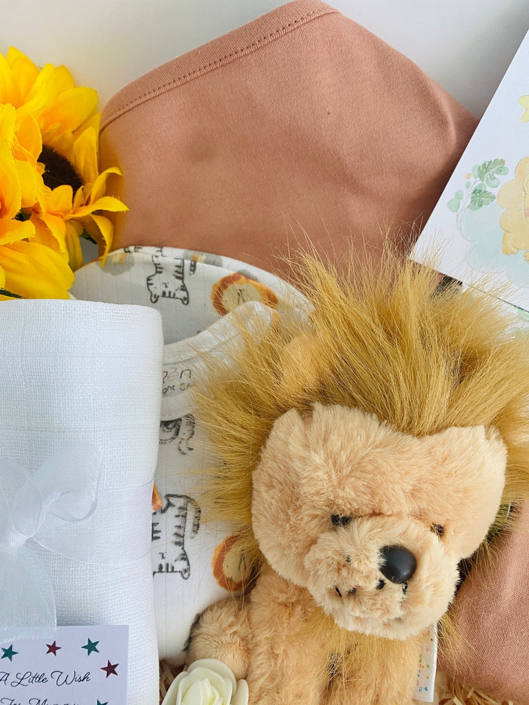 Baby Shower Gift Basket - Sleepy Little Lion - Pink and Blue Hampers