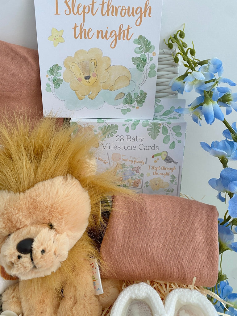 Baby Shower Gift Basket - Sleepy Little Lion - Pink and Blue Hampers