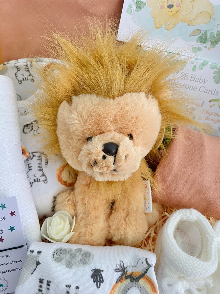 Baby Shower Gift Basket - Sleepy Little Lion - Pink and Blue Hampers