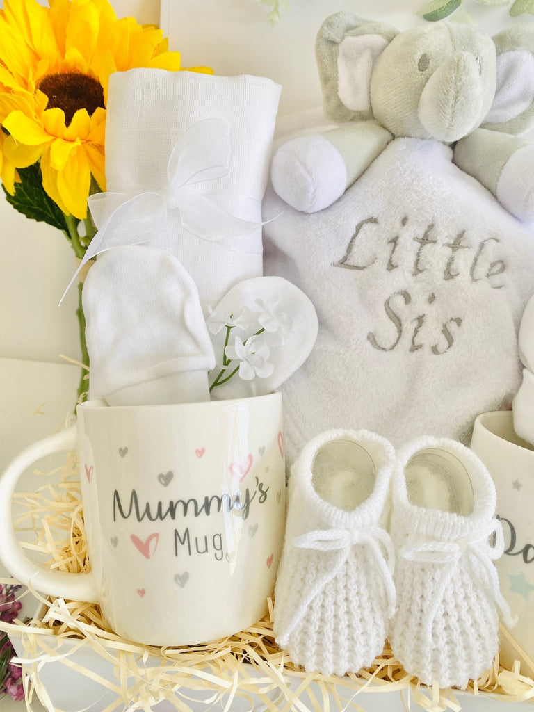 Baby Shower Gift - Big Cuddles - Pink and Blue Hampers