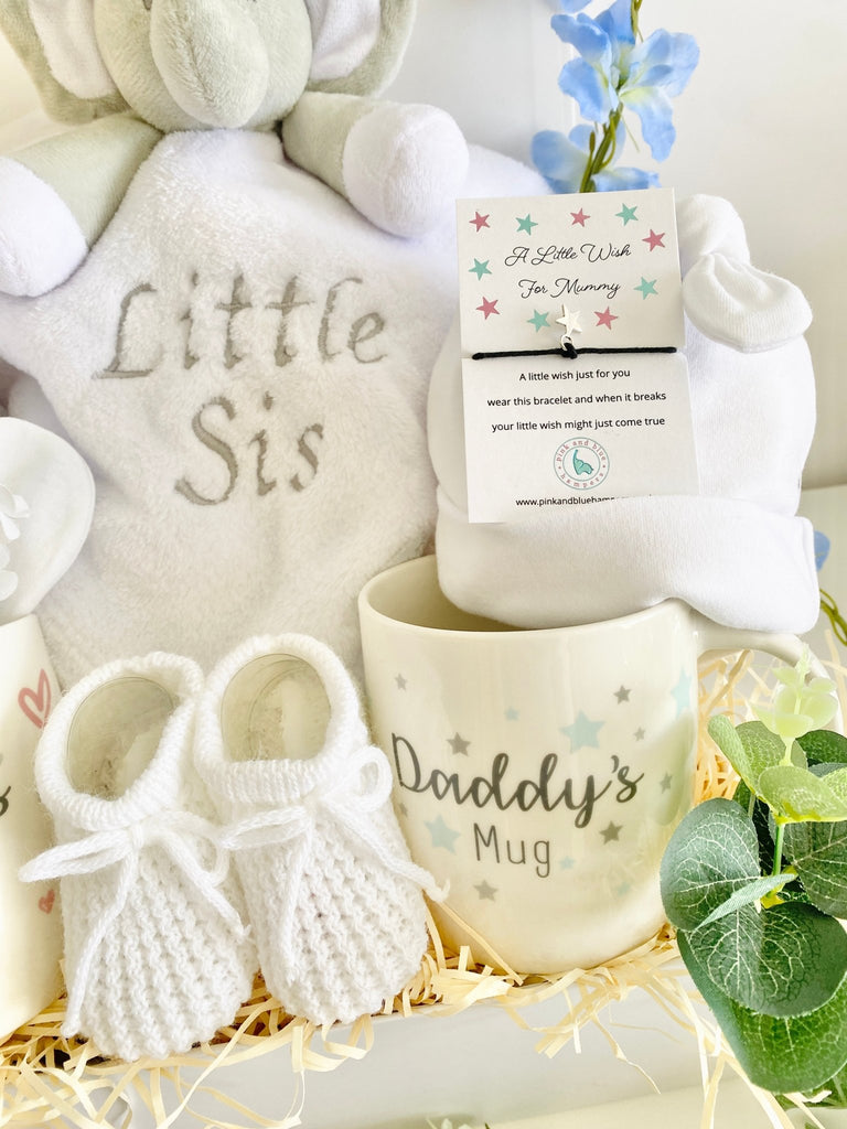 Baby Shower Gift - Big Cuddles - Pink and Blue Hampers