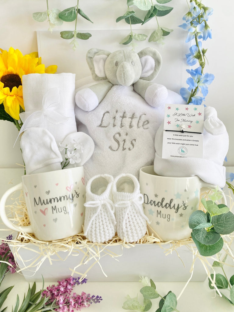 Baby Shower Gift - Big Cuddles - Pink and Blue Hampers