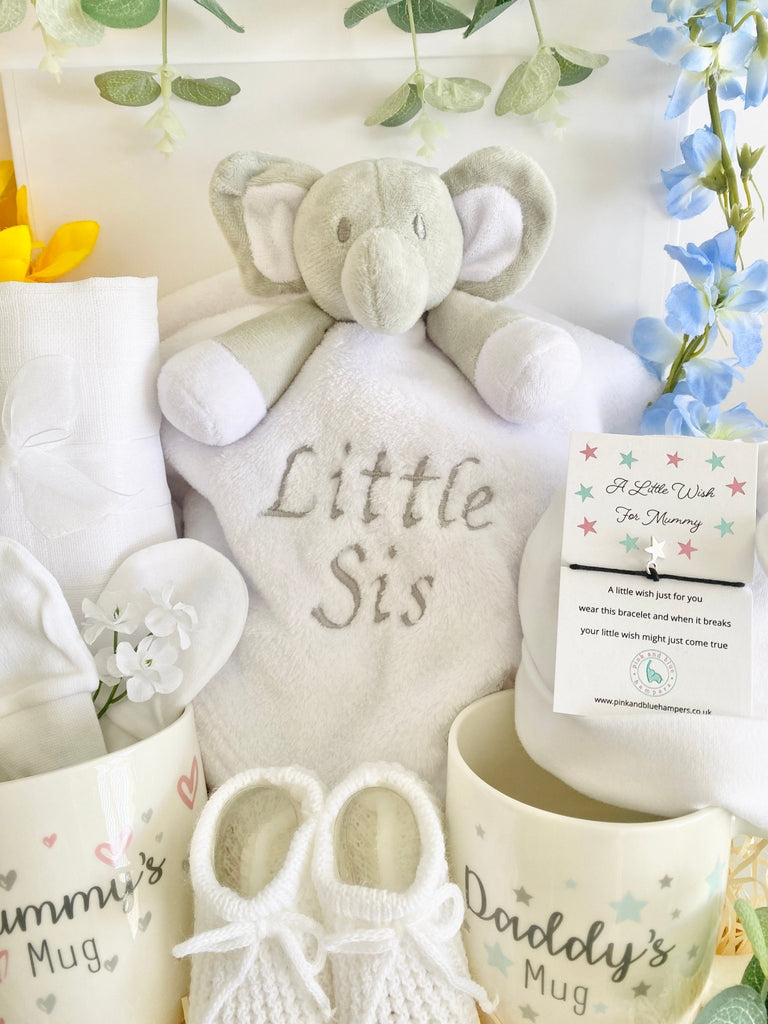 Baby Shower Gift - Big Cuddles - Pink and Blue Hampers
