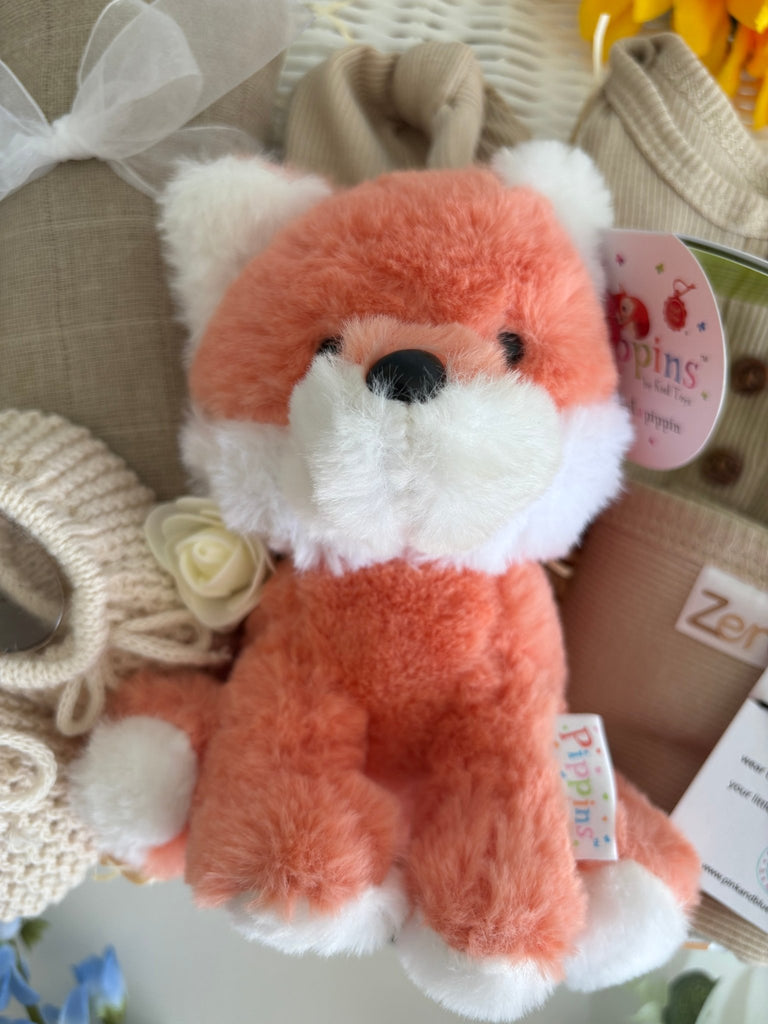 Baby Shower Gift Hamper - Cub Cuddles - Pink and Blue Hampers