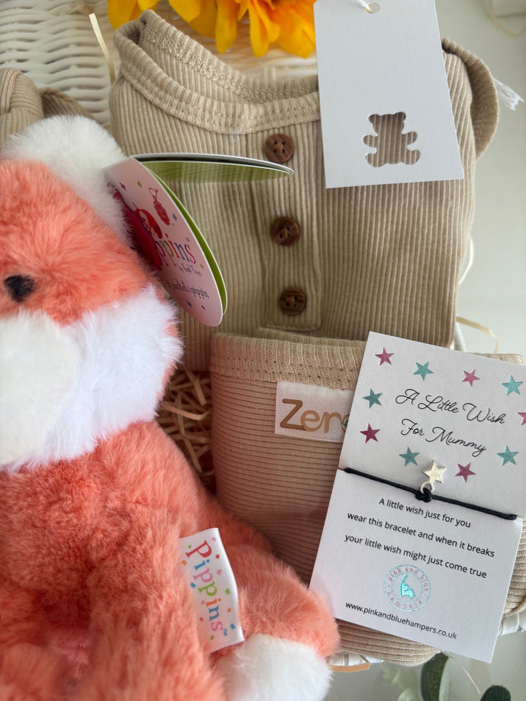 Baby Shower Gift Hamper - Cub Cuddles - Pink and Blue Hampers