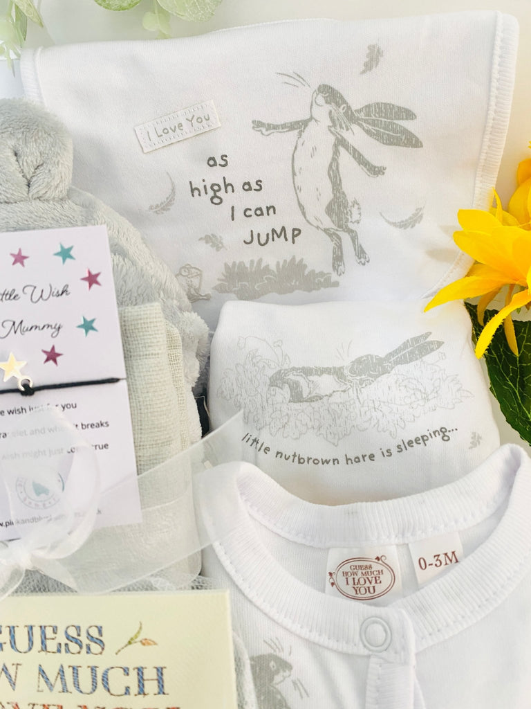 Baby Shower Gift Hamper - Guess How Much I Love You - Pink and Blue Hampers