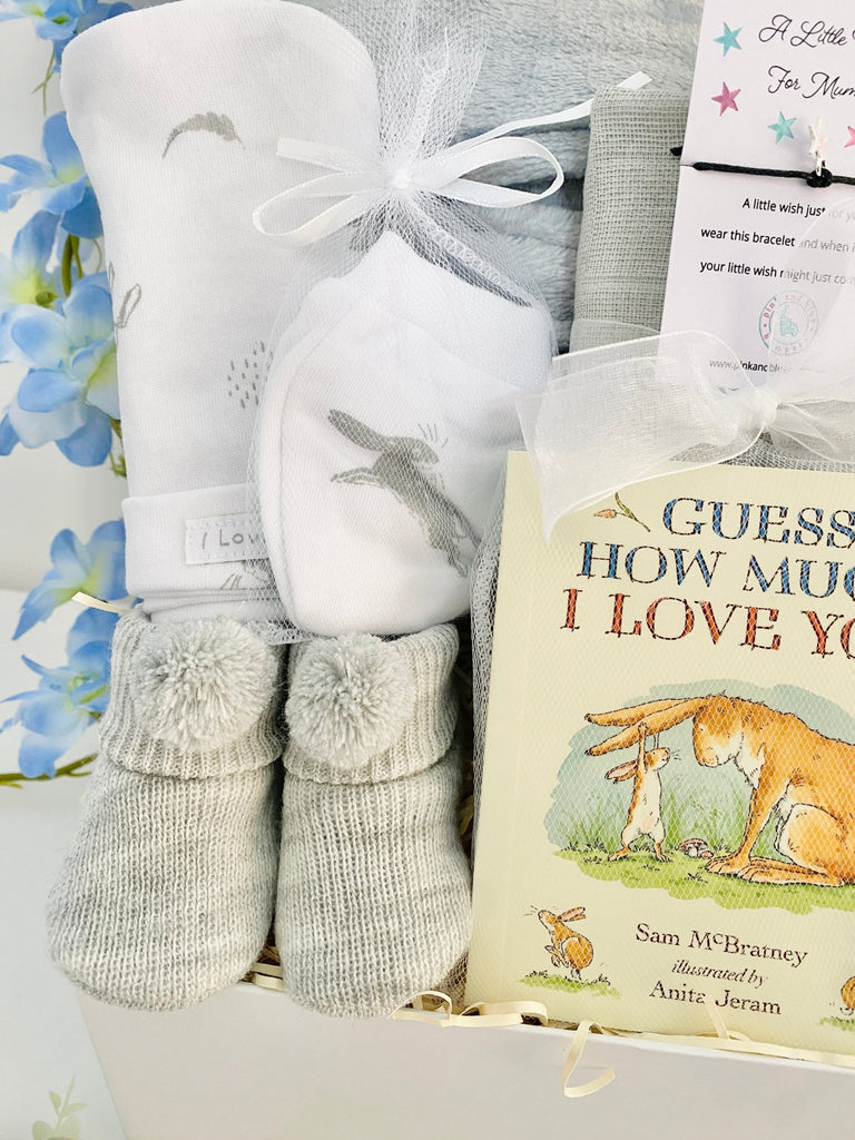 Baby Shower Gift Hamper - Guess How Much I Love You - Pink and Blue Hampers