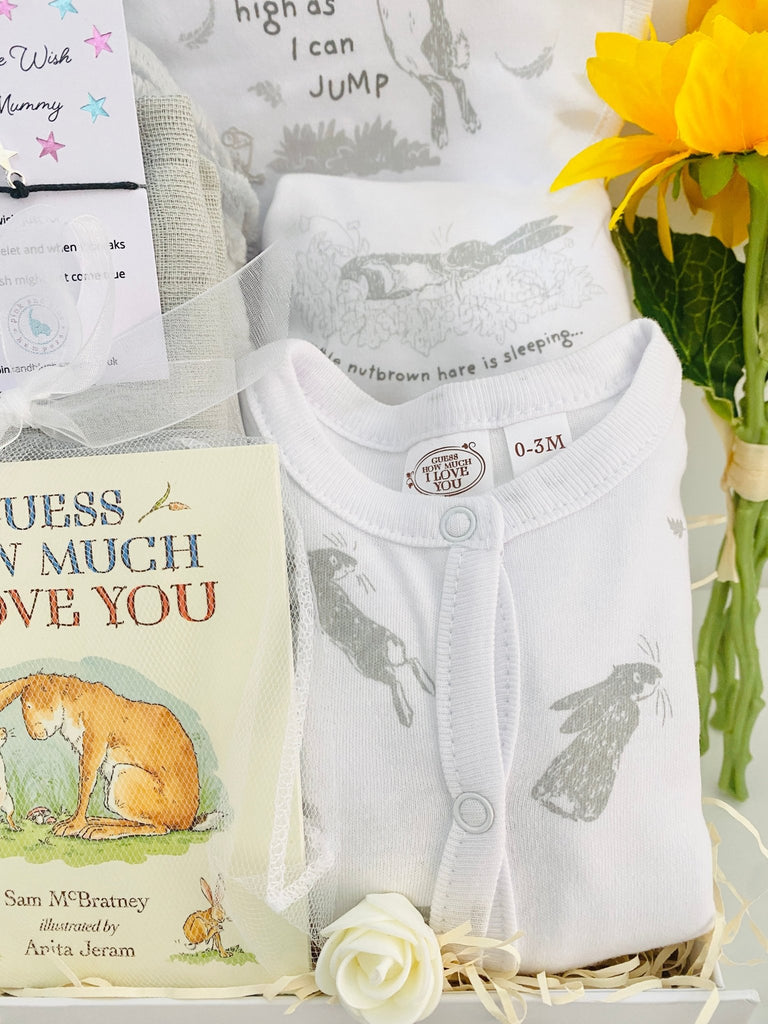 Baby Shower Gift Hamper - Guess How Much I Love You - Pink and Blue Hampers