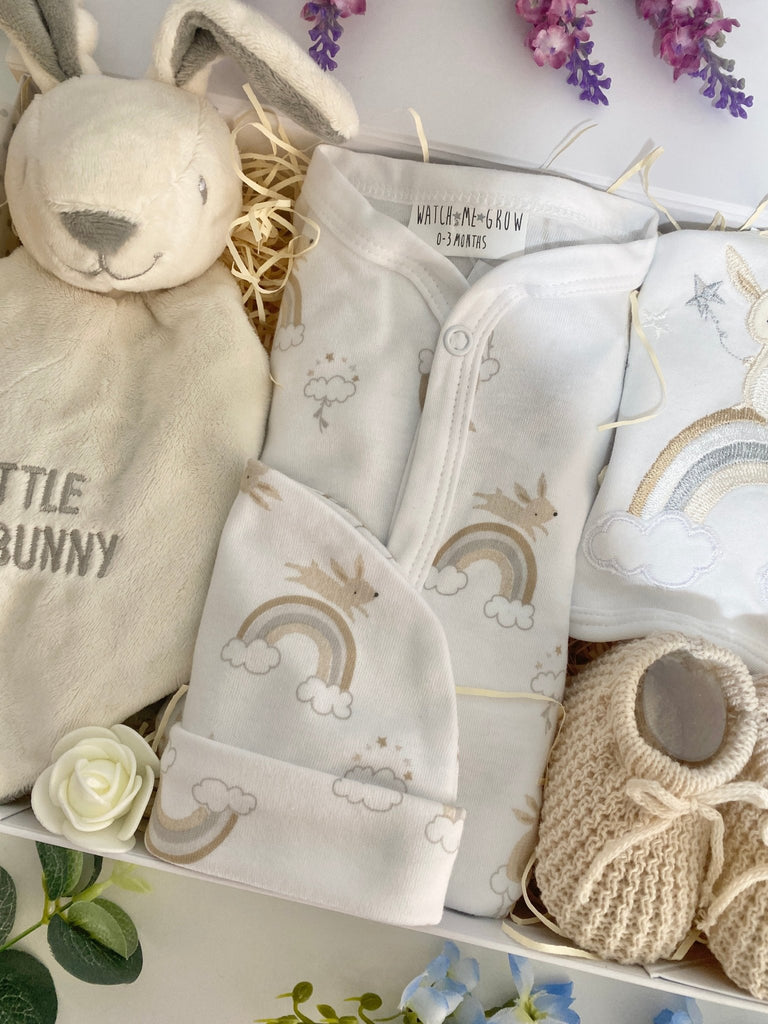 Baby Shower Gift - Little Bunny - Pink and Blue Hampers