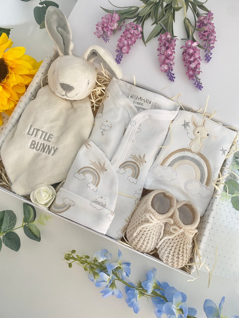 Baby Shower Gift - Little Bunny - Pink and Blue Hampers