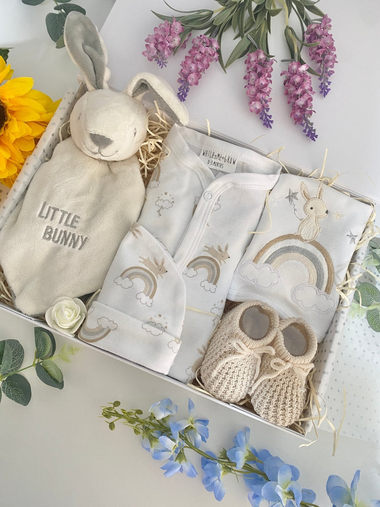 Baby Shower Gift - Little Bunny - Pink and Blue Hampers