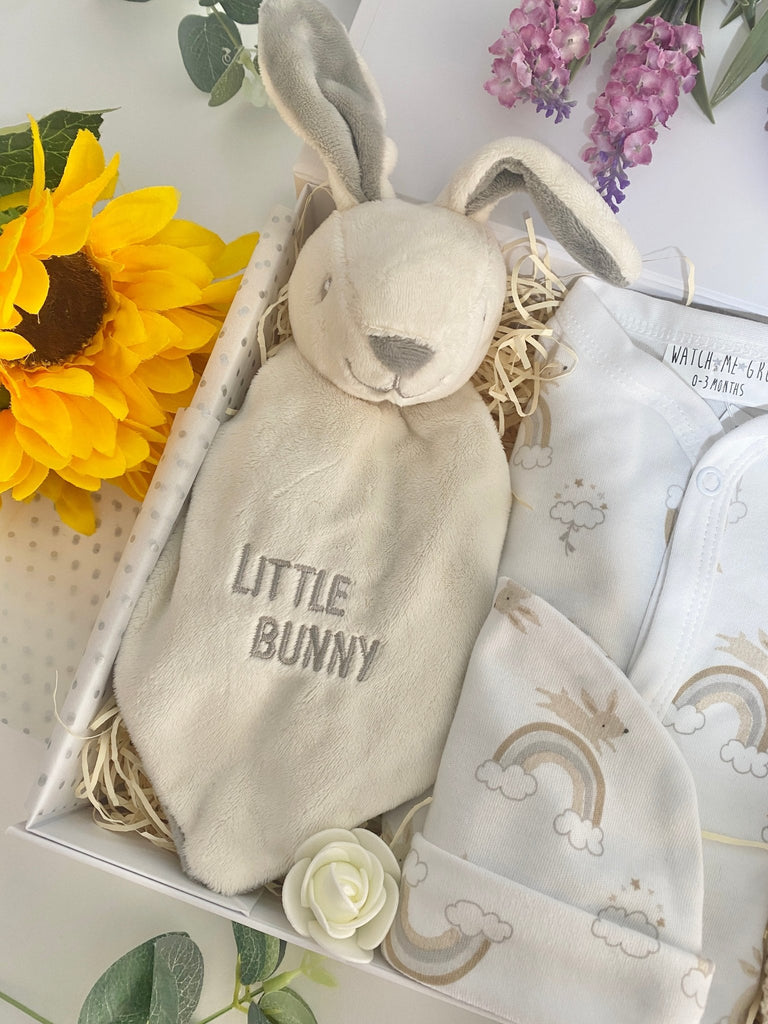 Baby Shower Gift - Little Bunny - Pink and Blue Hampers