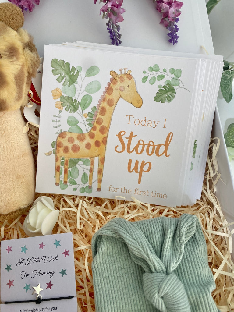 Baby Shower Gift - Safari Dreams - Pink and Blue Hampers