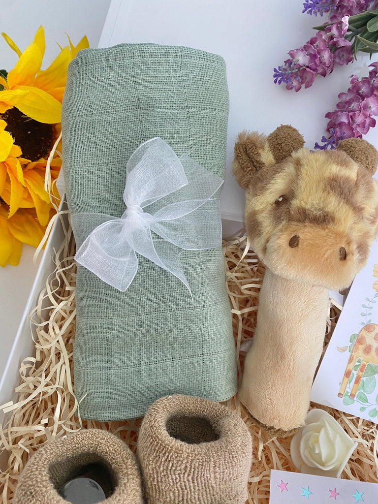 Baby Shower Gift - Safari Dreams - Pink and Blue Hampers