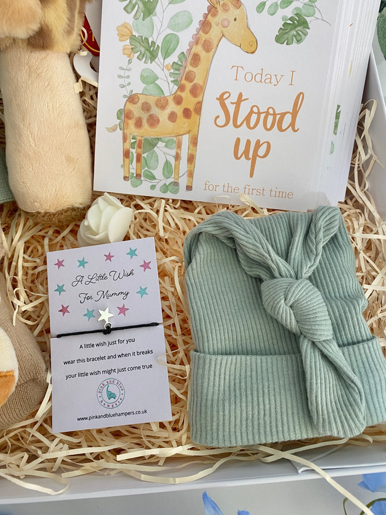 Baby Shower Gift - Safari Dreams - Pink and Blue Hampers