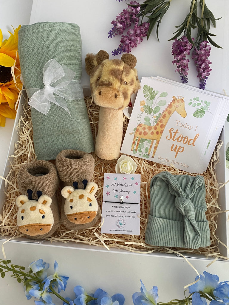 Baby Shower Gift - Safari Dreams - Pink and Blue Hampers