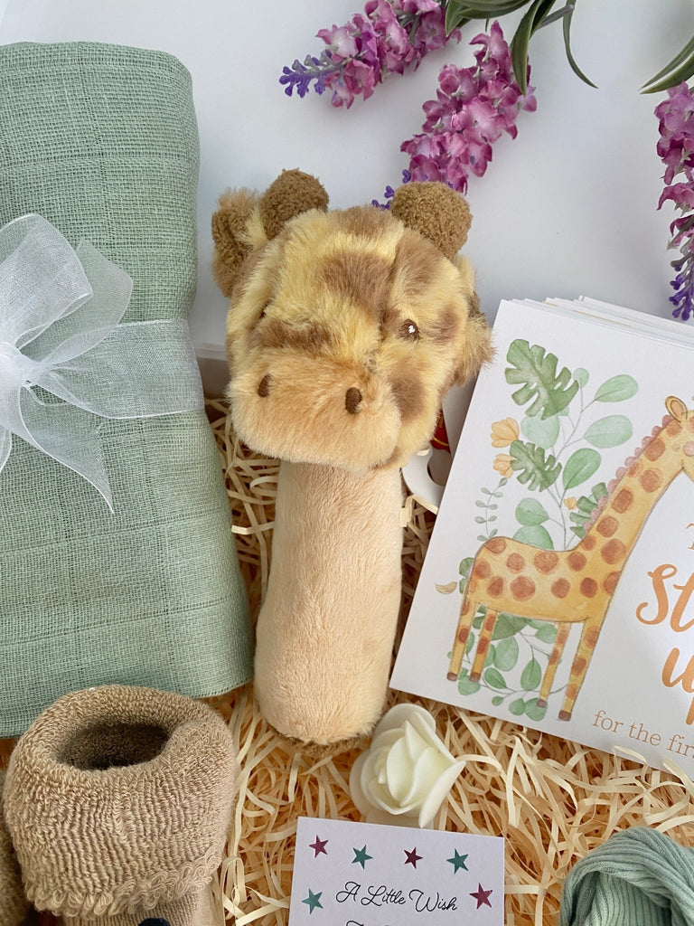 Baby Shower Gift - Safari Dreams - Pink and Blue Hampers