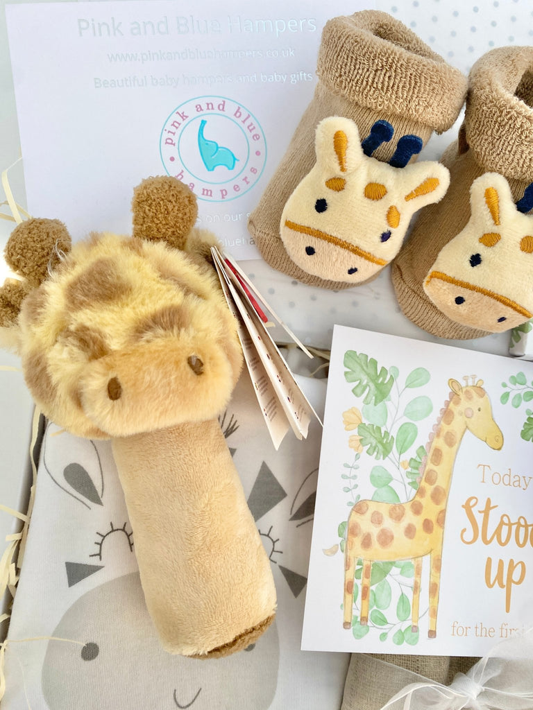 Baby Shower Gift - Safari Party - Pink and Blue Hampers