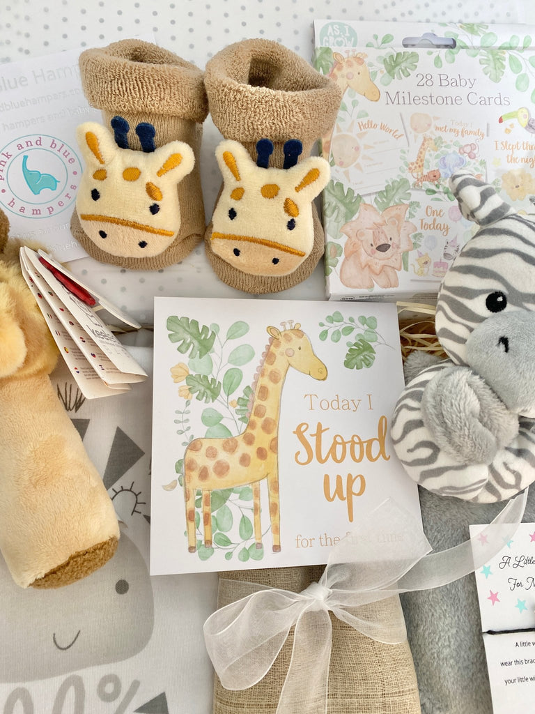Baby Shower Gift - Safari Party - Pink and Blue Hampers