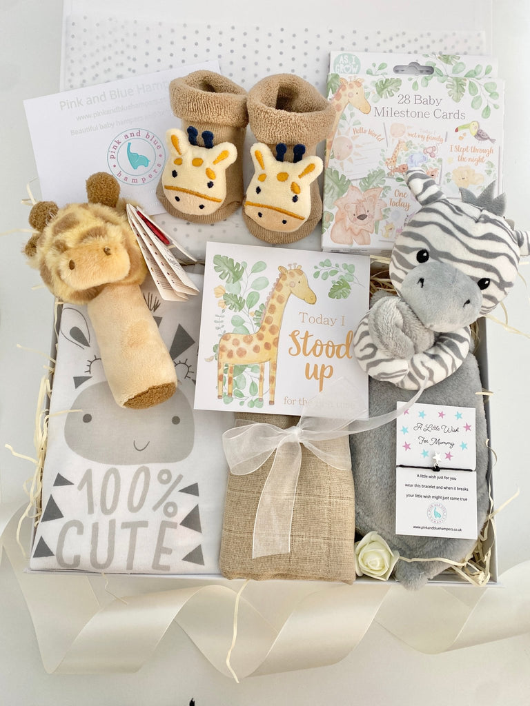 Baby Shower Gift - Safari Party - Pink and Blue Hampers