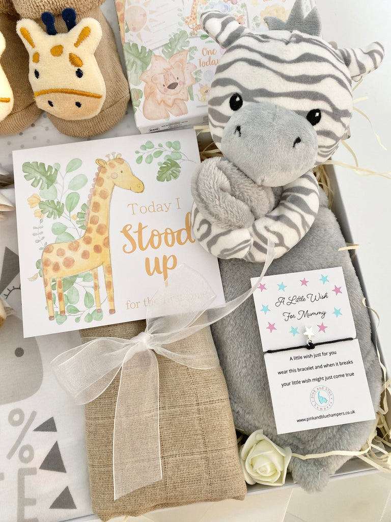 Baby Shower Gift - Safari Party - Pink and Blue Hampers