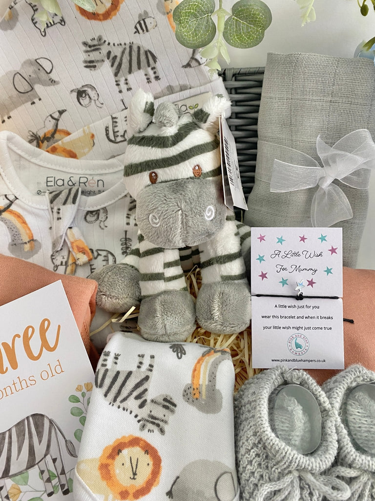 Baby Shower Gift - Safari Zebra - Pink and Blue Hampers