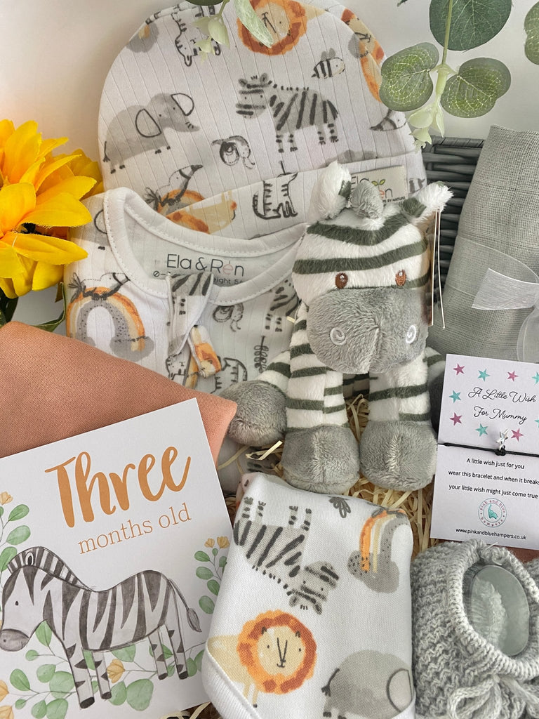 Baby Shower Gift - Safari Zebra - Pink and Blue Hampers