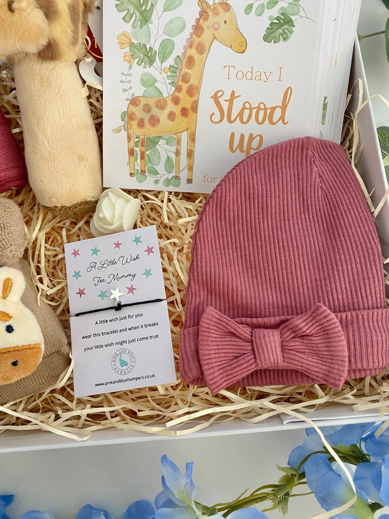 Baby Shower Gift Set - Rosey Giraffe - Pink and Blue Hampers