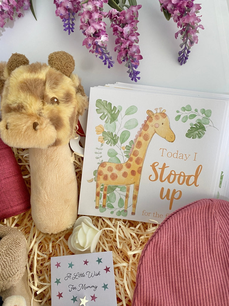 Baby Shower Gift Set - Rosey Giraffe - Pink and Blue Hampers