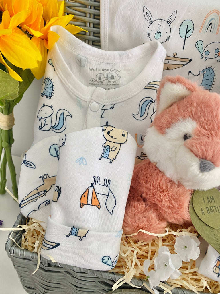 Baby Shower Gift - Sweet Woodland Fox - Pink and Blue Hampers