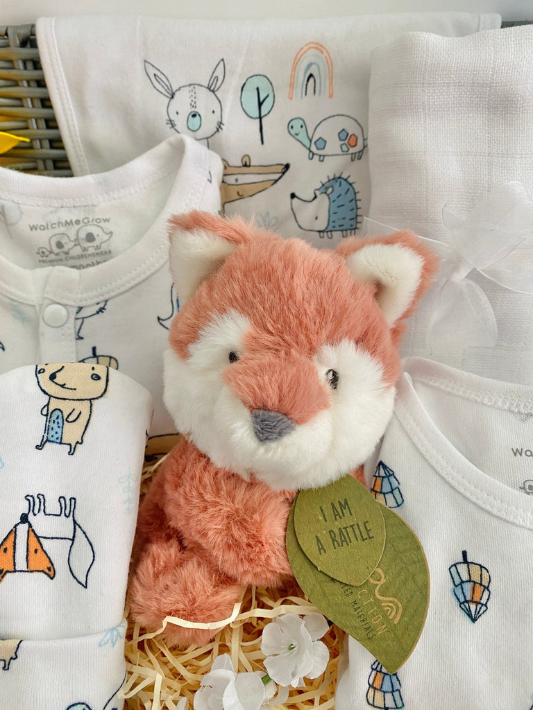 Baby Shower Gift - Sweet Woodland Fox - Pink and Blue Hampers