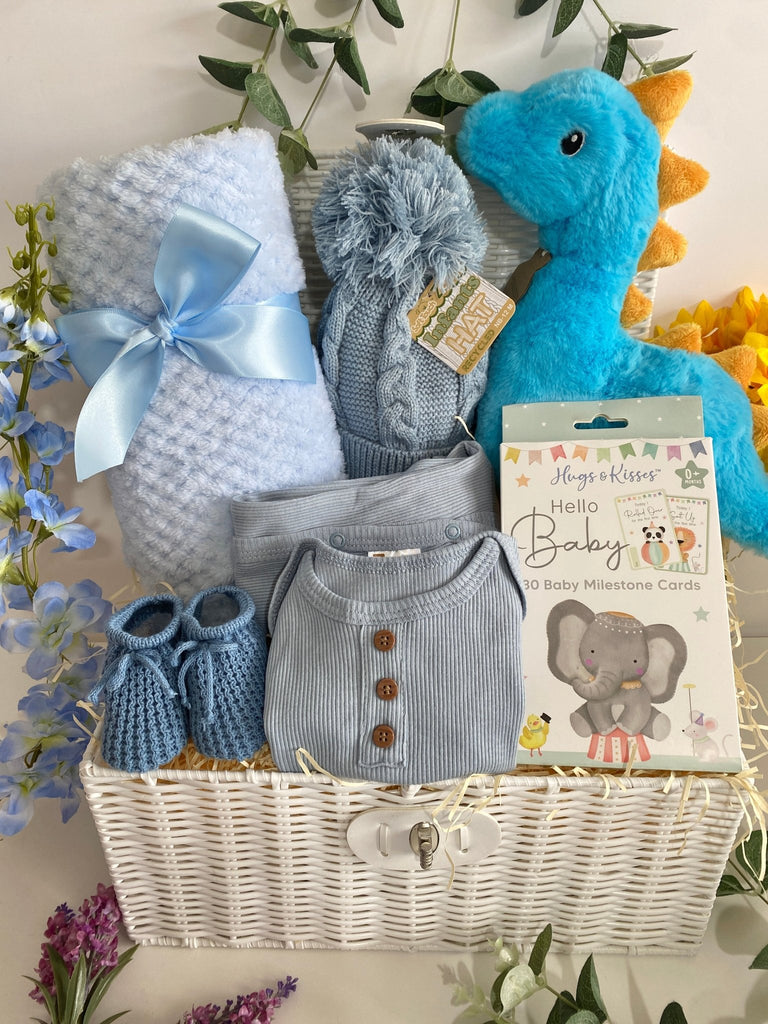 Baby Shower Hamper - Happy Little Dipper Diplodocus - Pink and Blue Hampers