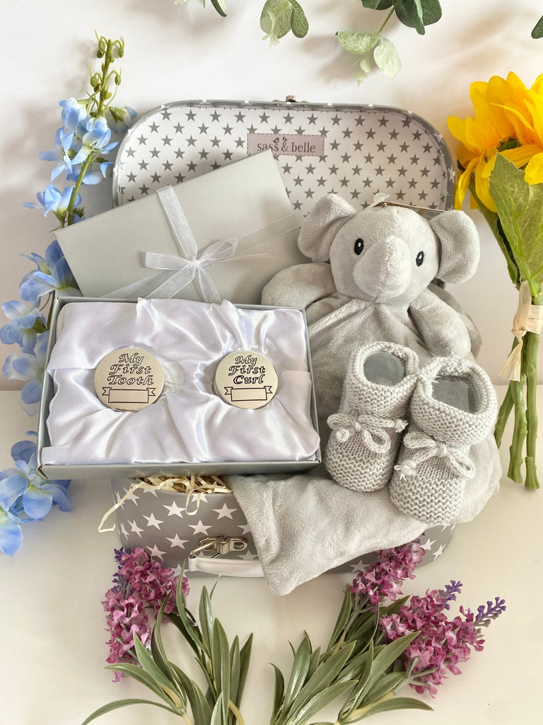 Christening Baby Gift Hamper - Sweet Elephant - Pink and Blue Hampers