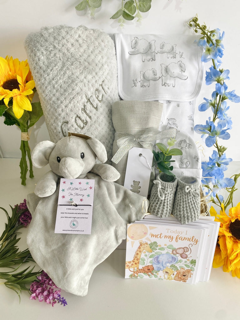 Cute Elephants Unisex Baby Hamper - Pink and Blue Hampers