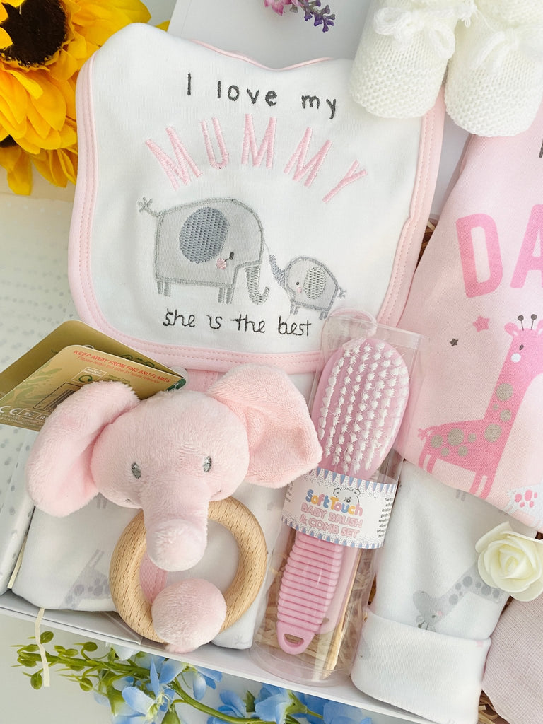 Gift For New Mummy & Daddy - Baby Girls Love - Pink and Blue Hampers