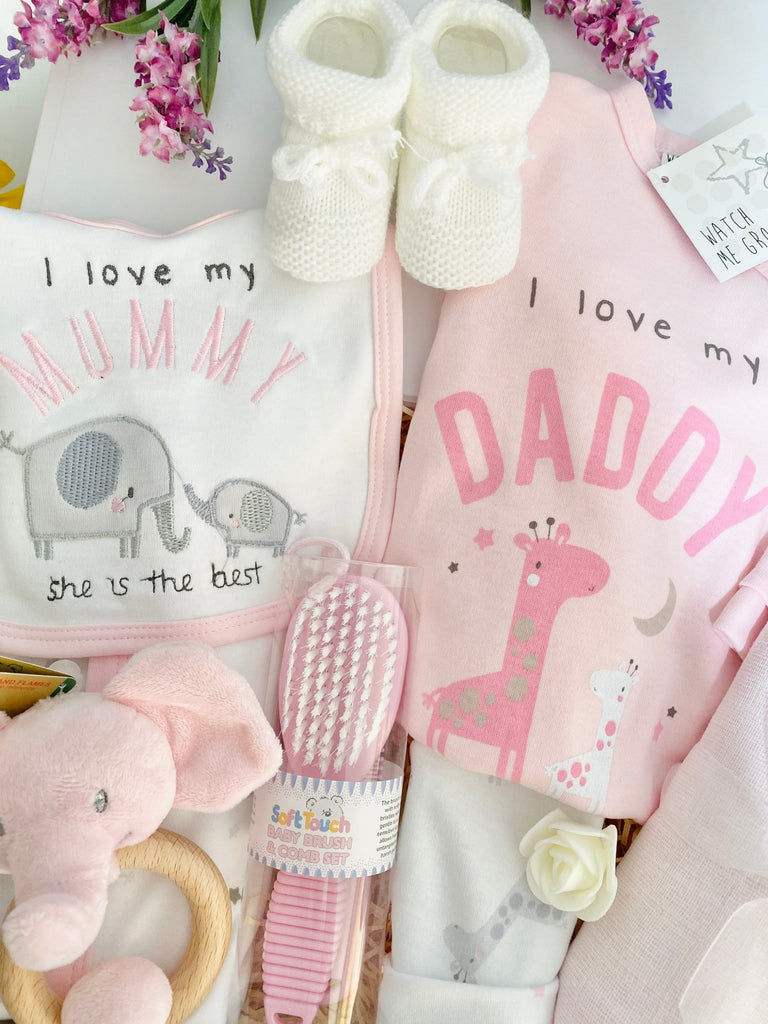 Gift For New Mummy & Daddy - Baby Girls Love - Pink and Blue Hampers