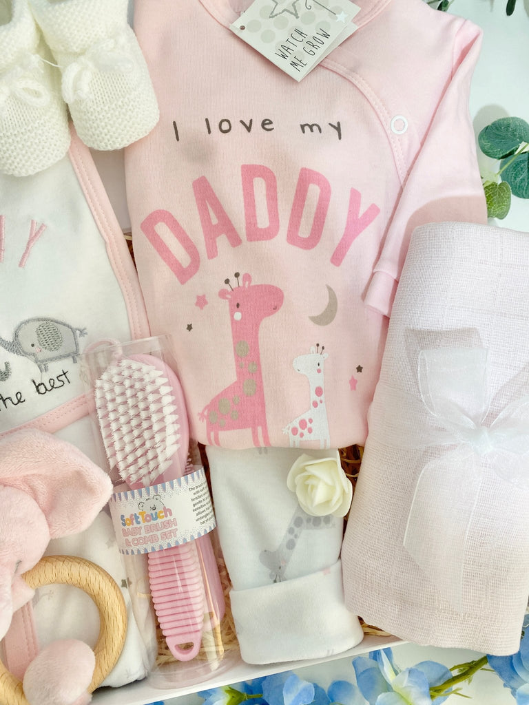 Gift For New Mummy & Daddy - Baby Girls Love - Pink and Blue Hampers