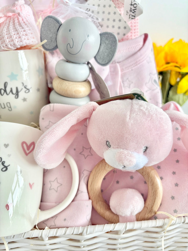 Large Baby Girl Hamper - Bunny Cuddles - Pink and Blue Hampers