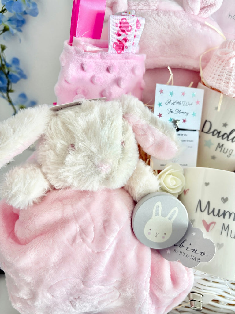 Large Baby Girl Hamper - Bunny Cuddles - Pink and Blue Hampers