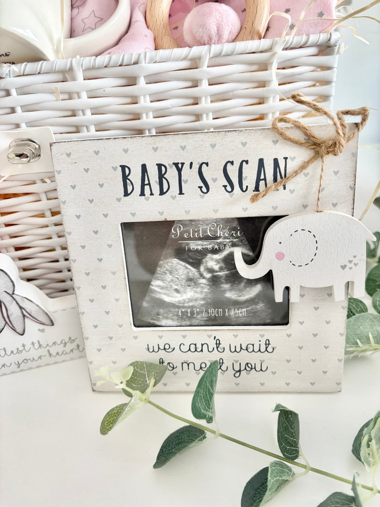 Large Baby Girl Hamper - Bunny Cuddles - Pink and Blue Hampers