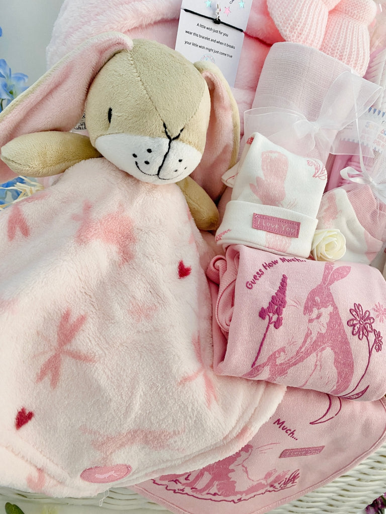 Large Baby Shower Gift Basket - Baby Girl Guess How Much I Love You - Pink and Blue Hampers