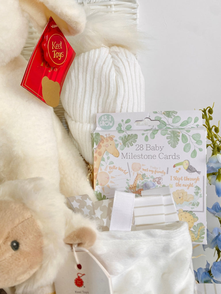 Large Unisex Baby Hamper - Big Lamb Cuddles - Pink and Blue Hampers