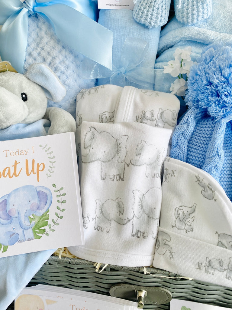 Luxurious Large Baby Boy Elephant friends Baby Hamper - Pink and Blue Hampers