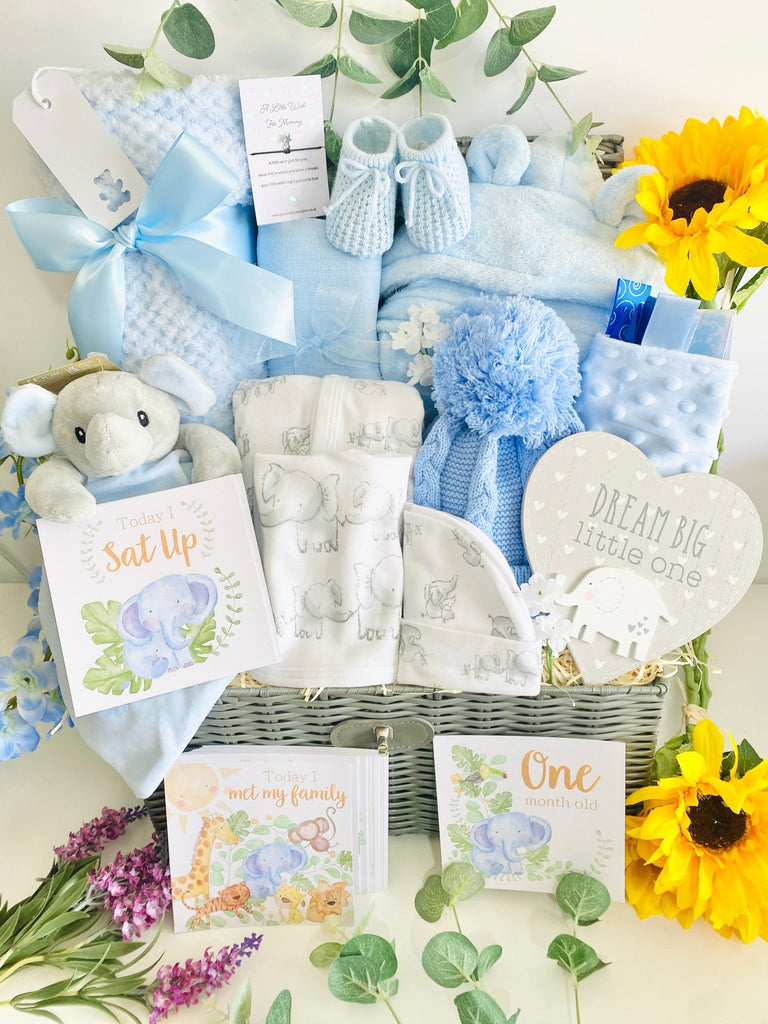 Luxurious Large Baby Boy Elephant friends Baby Hamper - Pink and Blue Hampers