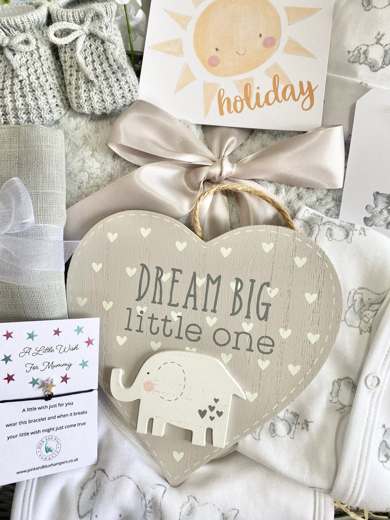 Maternity Gift Basket - Dream Big Little One Elephant Hamper - Pink and Blue Hampers