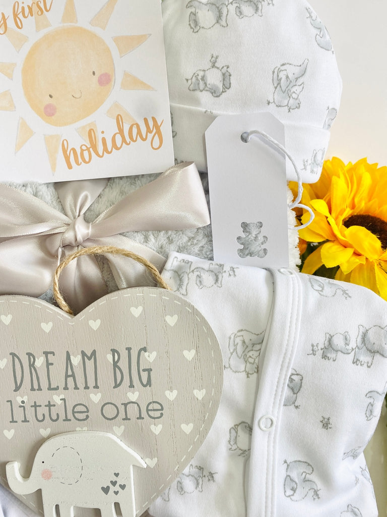 Maternity Gift Basket - Dream Big Little One Elephant Hamper - Pink and Blue Hampers