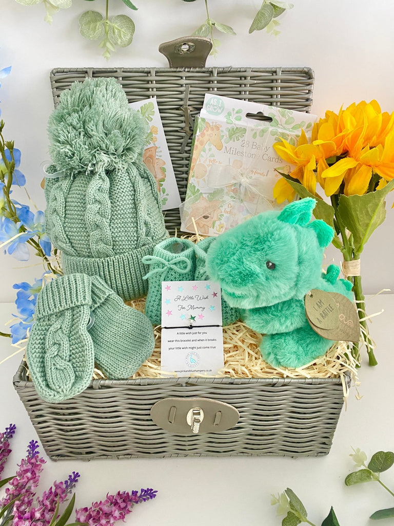 Maternity Gift Hamper - Little Dino Cuddles - Pink and Blue Hampers