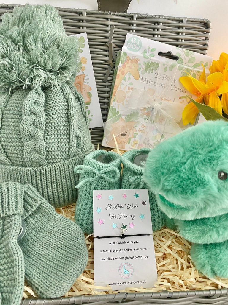 Maternity Gift Hamper - Little Dino Cuddles - Pink and Blue Hampers